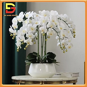 Mua Bình Hoa Lan Hồ Điệp Cao Cấp Chậu Hoa Để Bàn Chất Liệu Cao Su Sang Trọng Trang Trí Nhà Cửa DG-123