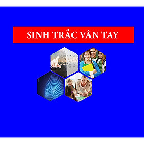 GIẢI MÃ SỨC MẠNH NÃO BỘ QUA SINH TRẮC VÂN TAY CAO CẤP DMIT