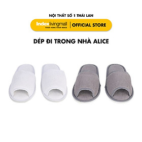 Mua Dép đi trong nhà ALICE 100% Cotton 22 x 29 x 6cm | Index Living Mall | Nhập khẩu Thái Lan