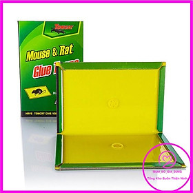 Mua Keo dính chuột - keo bẫy chuột siêu dính có thể tái sử dụng