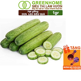 Mua Hạt Giống Dưa Leo Greenhome  Gói 1gr  Dễ Trồng Quanh Năm  Nảy Mầm Cao  Thu Hoạch Nhanh  Năng Suất Cao T02