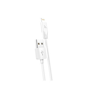 Mua Cáp sạc nhanh HoCo X1 cổng Lightning dài 2m (Trắng) - Hàng Nhập Khẩu