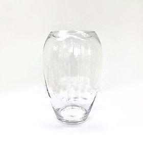 Bình Thủy Tinh 25cm