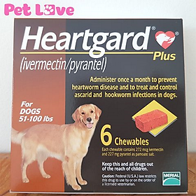 Heartgard phòng trị giun tim, giun đũa, giun móc chó 22,5 - 45kg, hộp 6