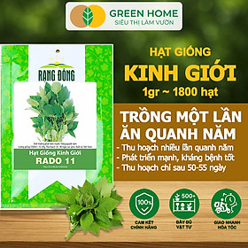 Mua Hạt Giống Rau Kinh Giới  Bao 1gr~1800 hạt  Dễ Trồng  Nảy Mầm Cao  Thu Hoạch Nhanh  Năng Suất Cao G12