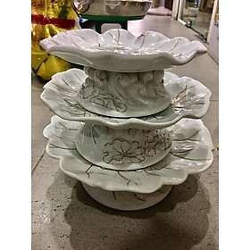 Mua Dĩa quả bạch ngọc 7 8 9