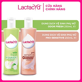 Bộ sản phẩm DDVS Lactacyd Odor Fresh NGĂN MÙI 24H 250ml + Pro Sensitive