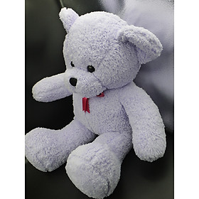 Thú Nhồi Bông Gấu Teddy Tím Lông Xù Siêu Mềm Đeo Nơ 62cm TFH00134