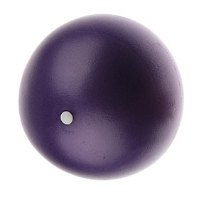 Yoga Ball Physical Fitness Balls Exercise Pain Relief Anti-Burst 25cm