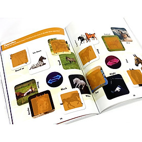 World Of Horses Sticker Book Treasury