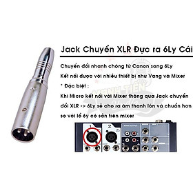 Mua Jack Chuyển Đổi XLR Canon Đực Ra 6 Ly Cái  Đầu Chuyển Rắc Canon Đực Ra 6 Ly Cái Dùng Cho Hệ Thống Âm Thanh