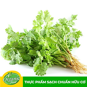 [Chỉ Giao HCM] - Ngò rí hữu cơ Organicfood - 100g