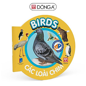 Sách Picture Dictionary - Từ điển bằng hình