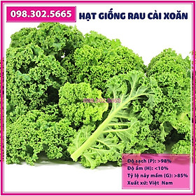 Mua Hạt gióng rau cải lá xoăn kale - gói 2 gam - hạt giống chất lượng