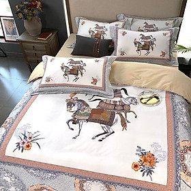 Bộ chăn ga gối Cotton cao cấp 1m6x2m CHT318
