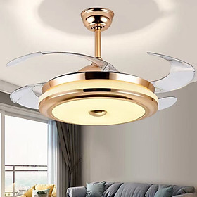 Mua Quạt trần giấu cánh  có đèn trang trí   có điều khiển từ xa