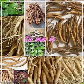 Mua Củ Bách Bộ (Củ Ba Mươi) khô sạch đóng gói 1kg