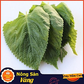 Hạt giống Rau Thơm Mè Hàn Quốc ( Gói 0,5 Gram )