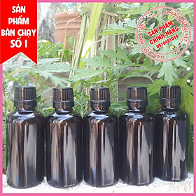 Nước cất hương thảo 100ml hoàn toàn tự nhiên, xuất xứ Việt Nam - giúp đuổi muỗi, đuổi côn trùng hiệu quả