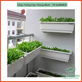 Bộ Kệ Treo Ban Công Và Chậu Nhựa Thông Minh Hải Đăng CH5-05 - Trắng