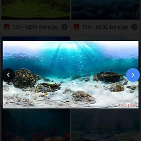 Mua Tranh 3D dán trang trí bể cá cảnh