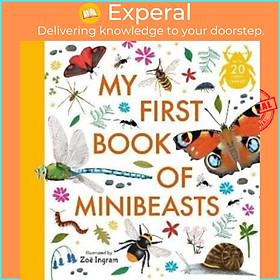 Sách - My First Book of Minibeasts by Zoe Ingram (UK edition, hardcover)