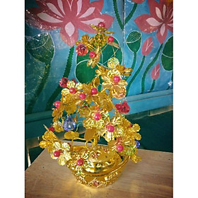 Mua Cây tài lộc hoa mai hạt pha lê  cao 20-25cm tòng teng  sắc