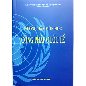 Ảnh bìa Hướng Dẫn Môn Học Công Pháp Quốc Tế