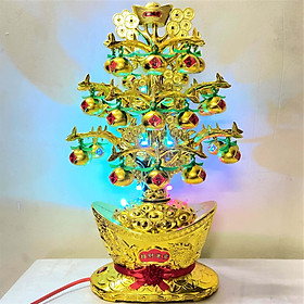 Mua Cây Quýt Vàng Trang Trí Nhà Cửa