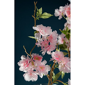 Mua HD8148_Hoa giả hoa Anh Đào Khloris