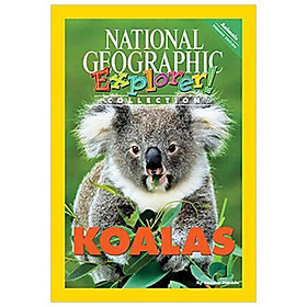 Hình ảnh sách Explorer Books (Pioneer Science: Animals): Koalas