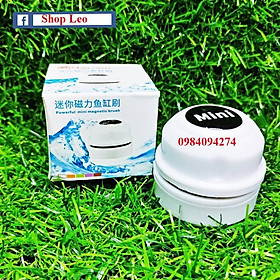 Nam Châm cọ bể mini - phụ kiện vệ sinh bể thủy sinh