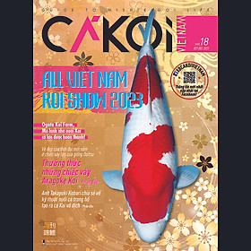 Cá Koi Vietnam - Tập 18 - Grafica