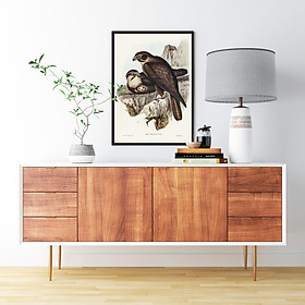 Tranh Canvas Động vật Chim Ưng nâu cao cấp. , Khung hợp nhôm chống ẩm, bền, đẹp, nhiều kích thước. Phù hợp nhiều không gian sang trọng