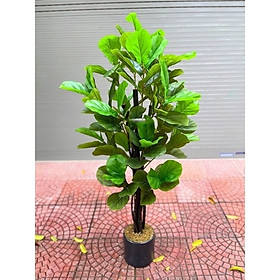 Mua Cây bàng singapore giả - cao 160cm - Cây giả  hoa lụa Decor trang trí nhà cửa