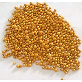 Phân tan chậm hạt vàng 14-14-14 Osmocote - Nhập khẩu Mỹ ( gói nhỏ 100gr)