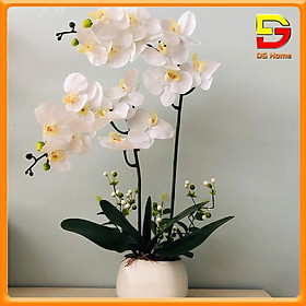 Mua Bình Hoa Lan Hồ Điệp Cao Cấp - Chậu Hoa Giả Để Bàn Phòng Khách Cao 60cm Trang Trí Nhà Cửa Sang Trọng DH-25