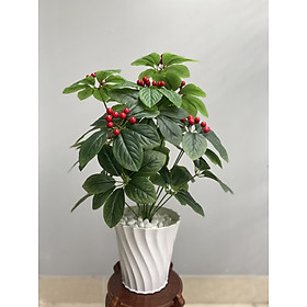 Mua Cây kim ngân lượng  cây kim ngân lượng decor  cây ngân lượng giả trang trí  cây cheery 72cm (chưa bao gồm chậu)