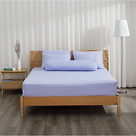 Bộ ga giường Hàn Quốc K-Bedding by Everon KMS chất vải Microfiber (không bao gồm chăn)