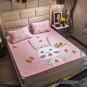 Mua Chiếu điều hoà cao su non 5D