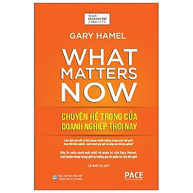 Sách Chuyện Hệ Trọng Của Doanh Nghiệp Thời Nay - (What Matters Now) - Gary Hamel - PACE Books