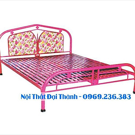 Giường sắt giá rẻ nhiều kích thước (0,8cm x 2m , 1mx2m , 1m2x2m ) Đại Thành mẫu 10