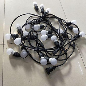 Mua Combo 10m-20 đui dây đúc chống nước kèm bóng 3w