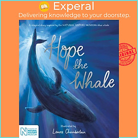 Sách - Hope the Whale - In Association with the Natural History Museum by Laura Chamberlain (UK edition, paperback)