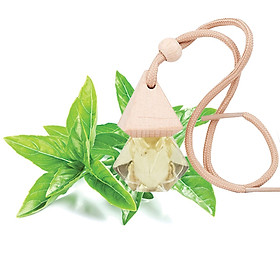 >> SO SÁNH GIÁ MÁY KHỬ MÙI XE OTO | Shopee Lazada Sendo Tiki 38 Tinh dầu húng quế treo xe oto, treo phòng ngủ, treo nhà vệ sinh, treo tủ quần áo, xịt thơm xe, khử mùi xe mới, chống say