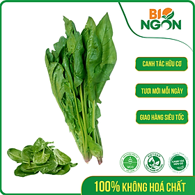 [Chỉ Giao HCM] - Cải Bó Xôi (Gói 250g)