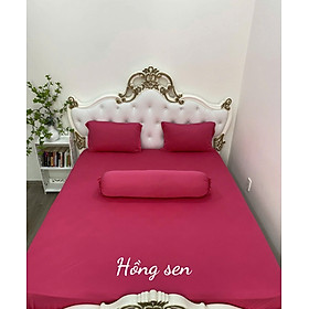 Bộ Drap gối  Thun Hàn Quốc 4 món { drap và 3 áo gối