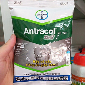 Chế phẩm trừ nấm bệnh AntraCol 70WP 100g