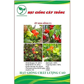 Hạt Giống Ớt Hoa Hồng CT323 - Gói 10 hạt