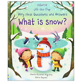 Lift-The-Flap Very First Questions And Answers: What Is Snow?